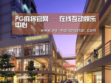 案例展示一