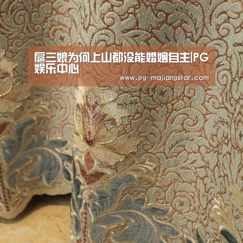 PG麻将官网